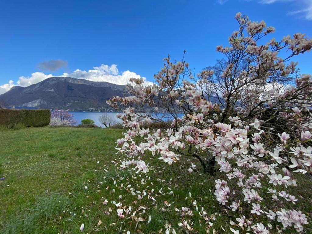 La Roseliere Sud, Vue Lac & Jardin Sévrier Dış mekan fotoğraf